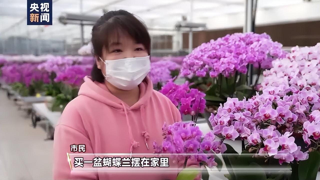 年味儿越来越浓 各地乡村抓住假日经济好时机(图3) 年味儿越来越浓 各地乡村抓住假日经济好时机(图3)
