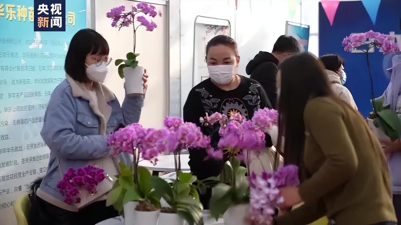 年味儿越来越浓 各地乡村抓住假日经济好时机(图2) 年味儿越来越浓 各地乡村抓住假日经济好时机(图2)
