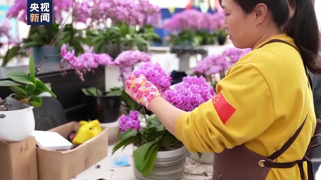 年味儿越来越浓 各地乡村抓住假日经济好时机(图4) 年味儿越来越浓 各地乡村抓住假日经济好时机(图4)