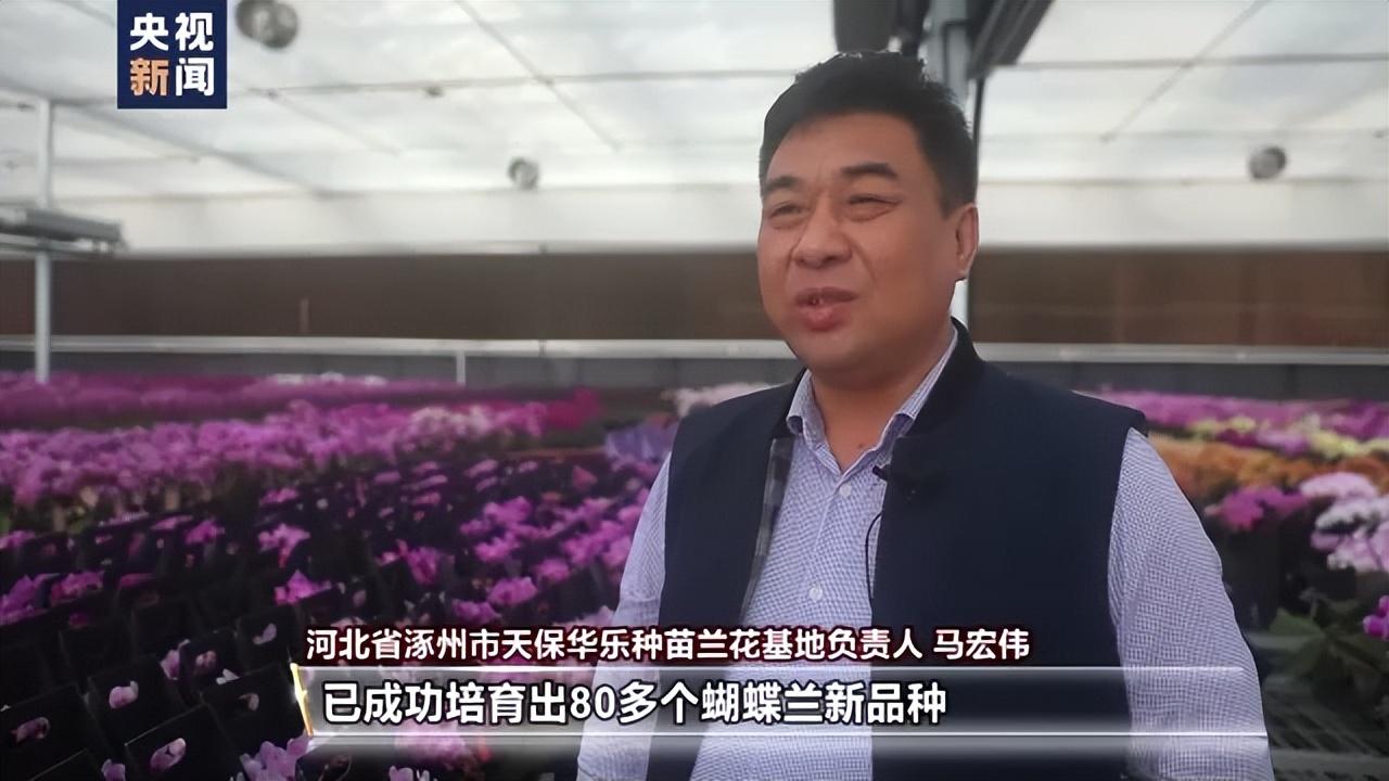 年味儿越来越浓 各地乡村抓住假日经济好时机(图5) 年味儿越来越浓 各地乡村抓住假日经济好时机(图5)