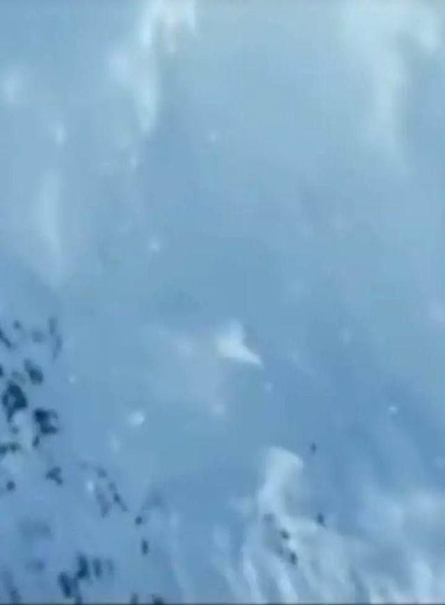 西藏墨脱雪崩已致8人遇难,当地人:事发地被称为“鬼门关”,被埋被困人员或为游客(图2) 西藏墨脱雪崩已致8人遇难,当地人:事发地被称为“鬼门关”,被埋被困人员或为游客(图2)