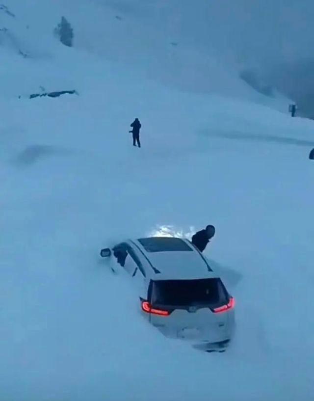 西藏墨脱雪崩已致8人遇难,当地人:事发地被称为“鬼门关”,被埋被困人员或为游客(图4) 西藏墨脱雪崩已致8人遇难,当地人:事发地被称为“鬼门关”,被埋被困人员或为游客(图4)