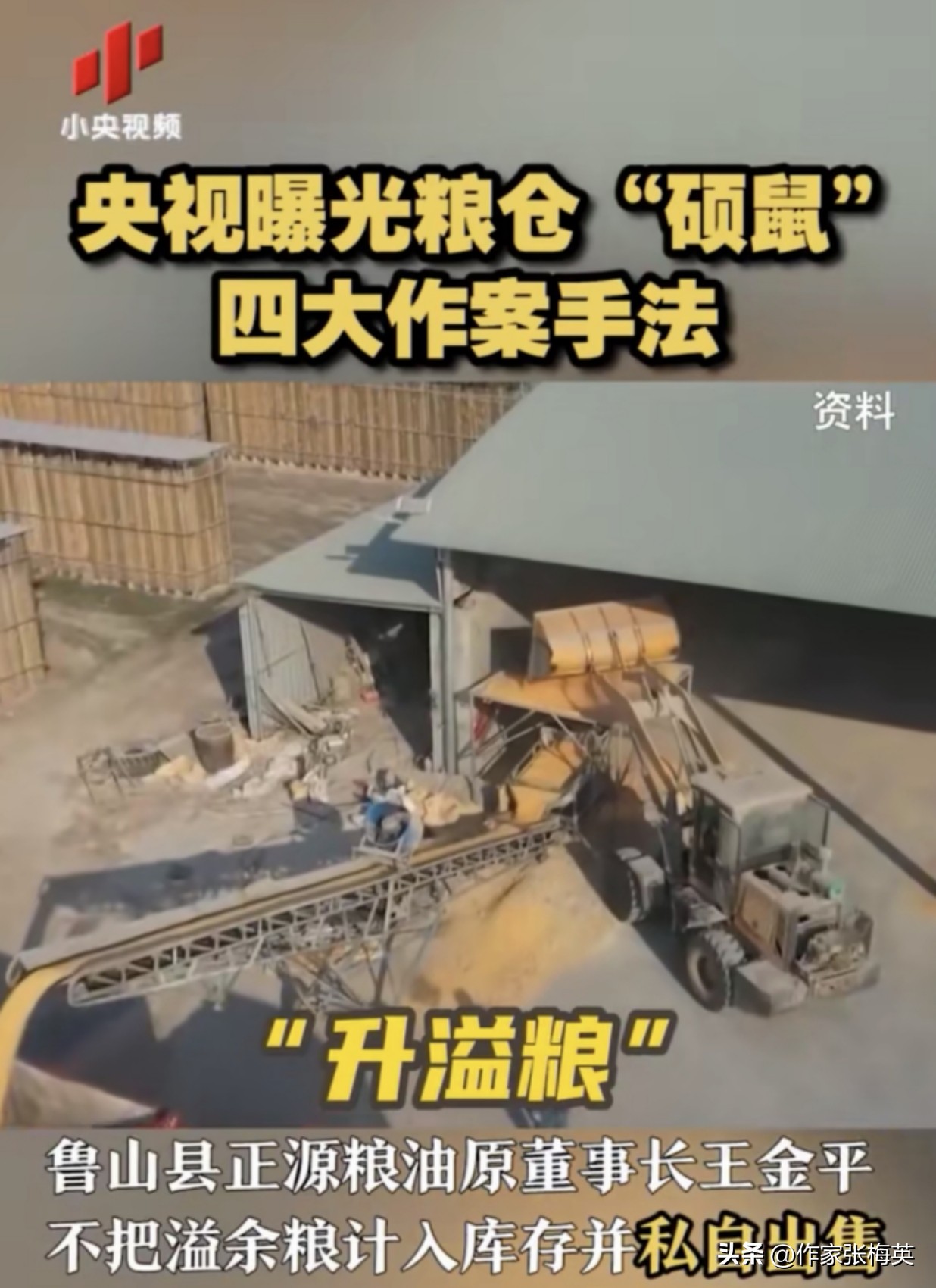 央视曝光粮仓“硕鼠”四大作案手法(图3) 央视曝光粮仓“硕鼠”四大作案手法(图3)