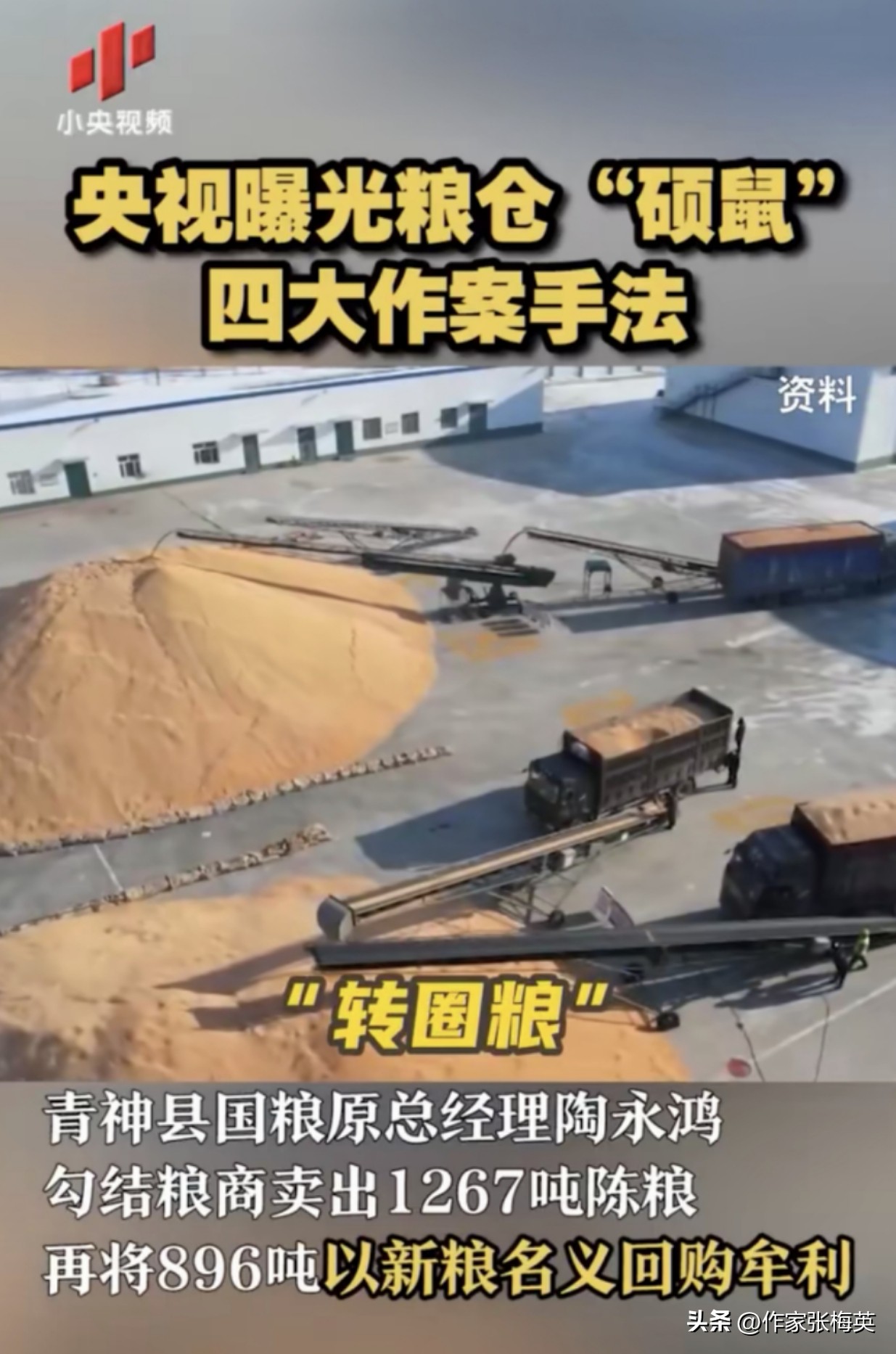 央视曝光粮仓“硕鼠”四大作案手法(图4) 央视曝光粮仓“硕鼠”四大作案手法(图4)
