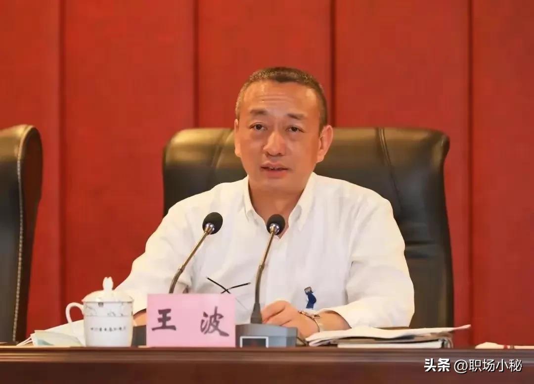 住别墅用保姆,公器私用,大肆揽财,四川省原厅长王波即将被审判(图2) 住别墅用保姆,公器私用,大肆揽财,四川省原厅长王波即将被审判(图2)
