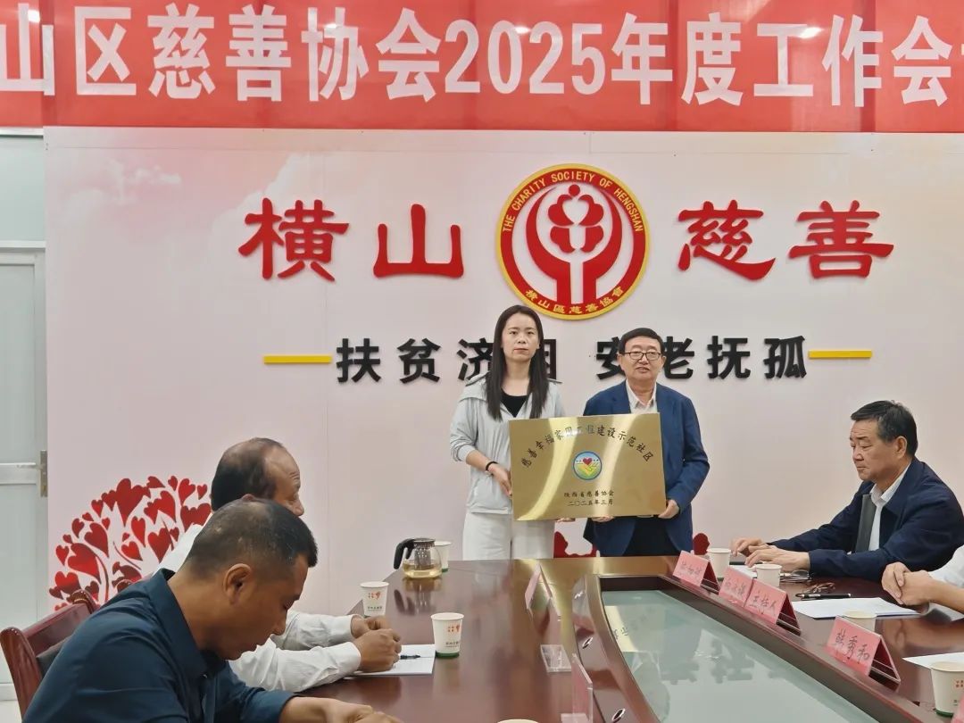 横山区慈善协会召开2025年慈善工作会议暨颁奖仪式(图5)