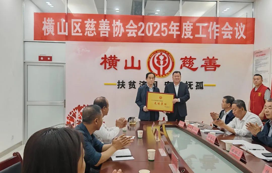横山区慈善协会召开2025年慈善工作会议暨颁奖仪式(图8)