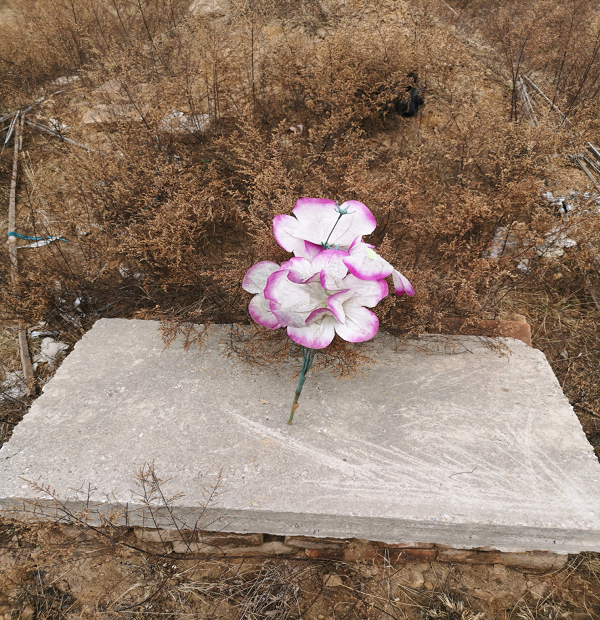 陕西蒲城法院：践踏法律如草芥(图3)